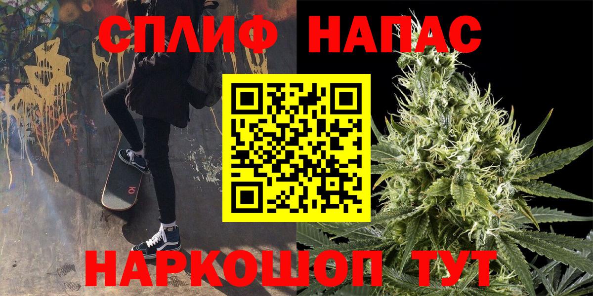 Марихуана сатива Сальск